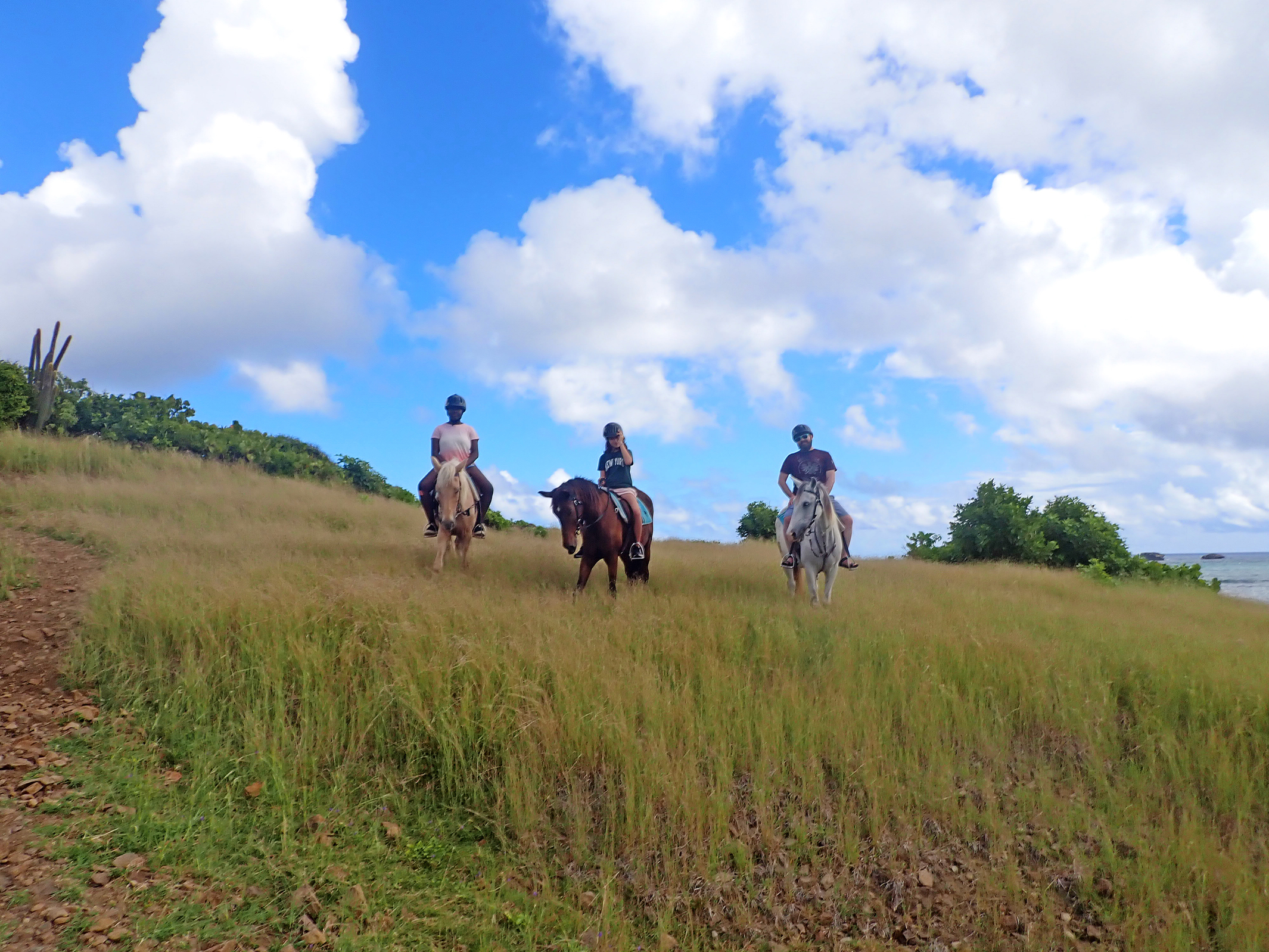 riding in grasses2 resized