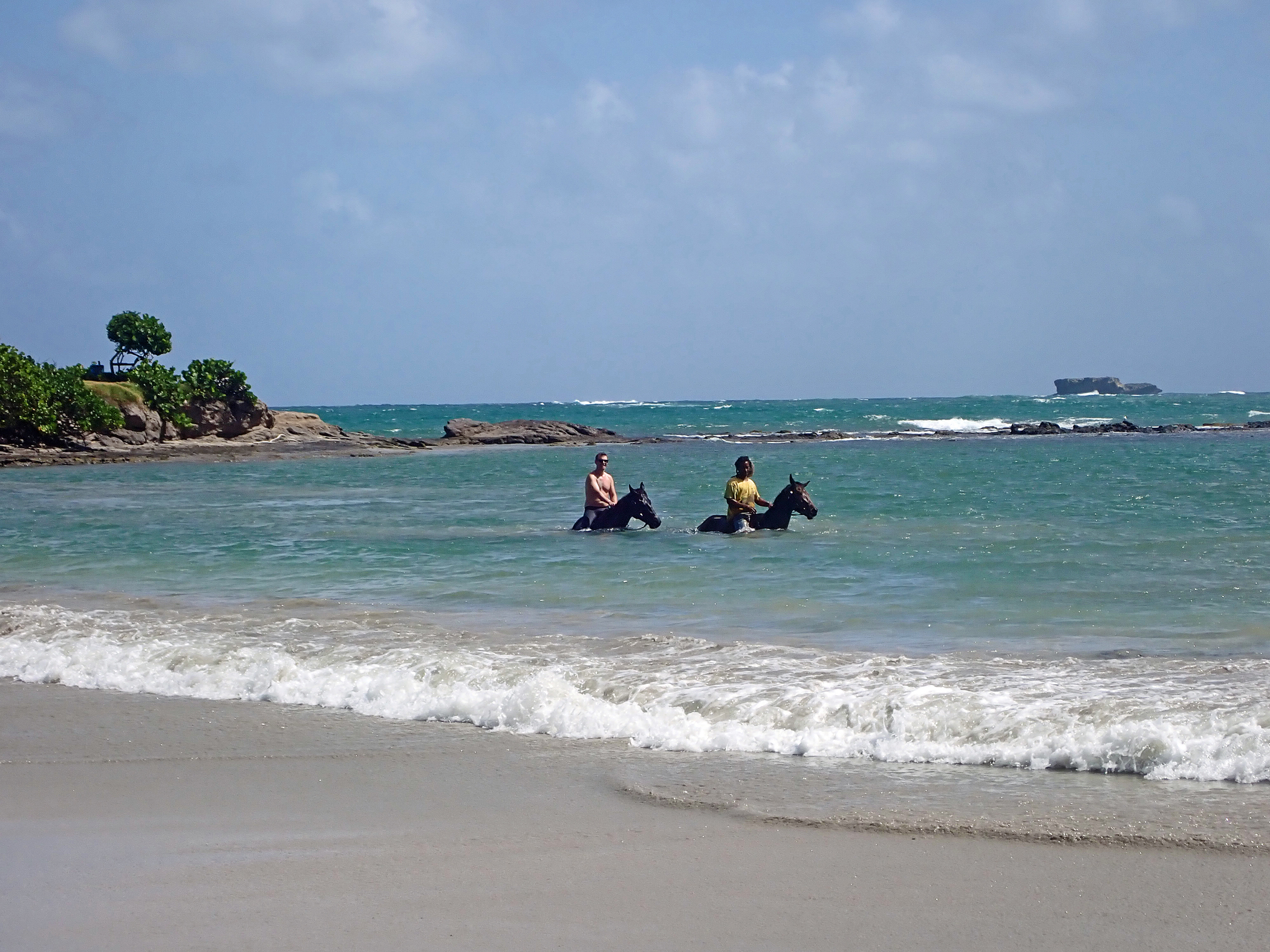 swimming with the horses 3nresized